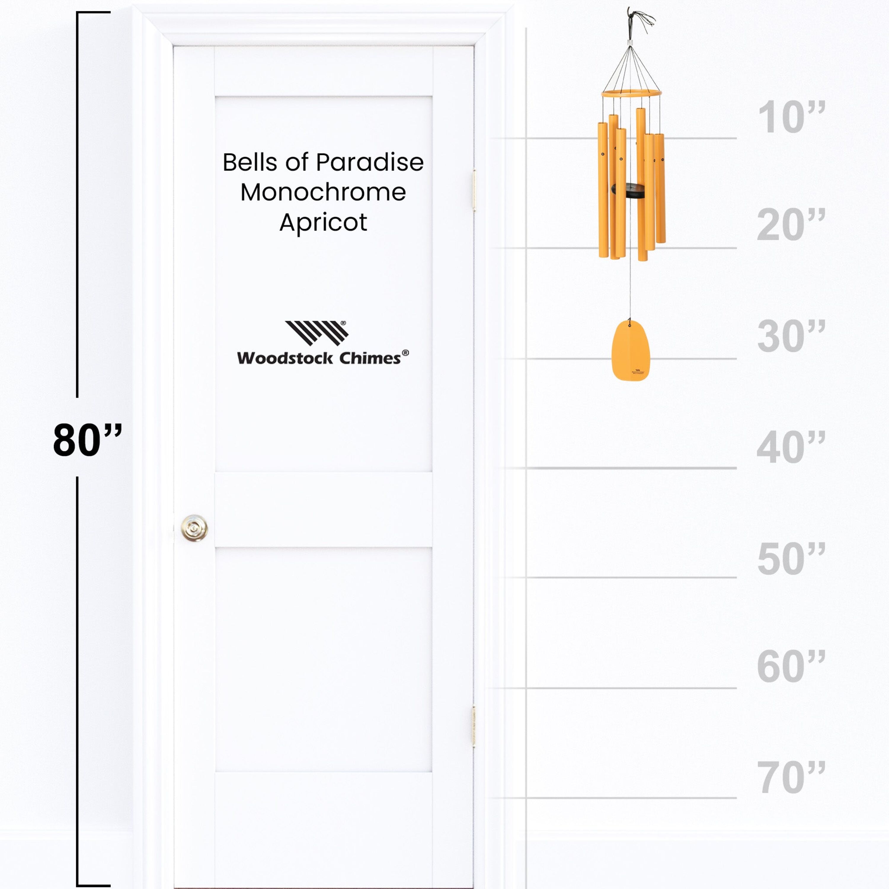 https://asset.productmarketingcloud.com/api/assetstorage/3909_e4be5ff7-74b1-4bd4-b75d-4d87551babd3