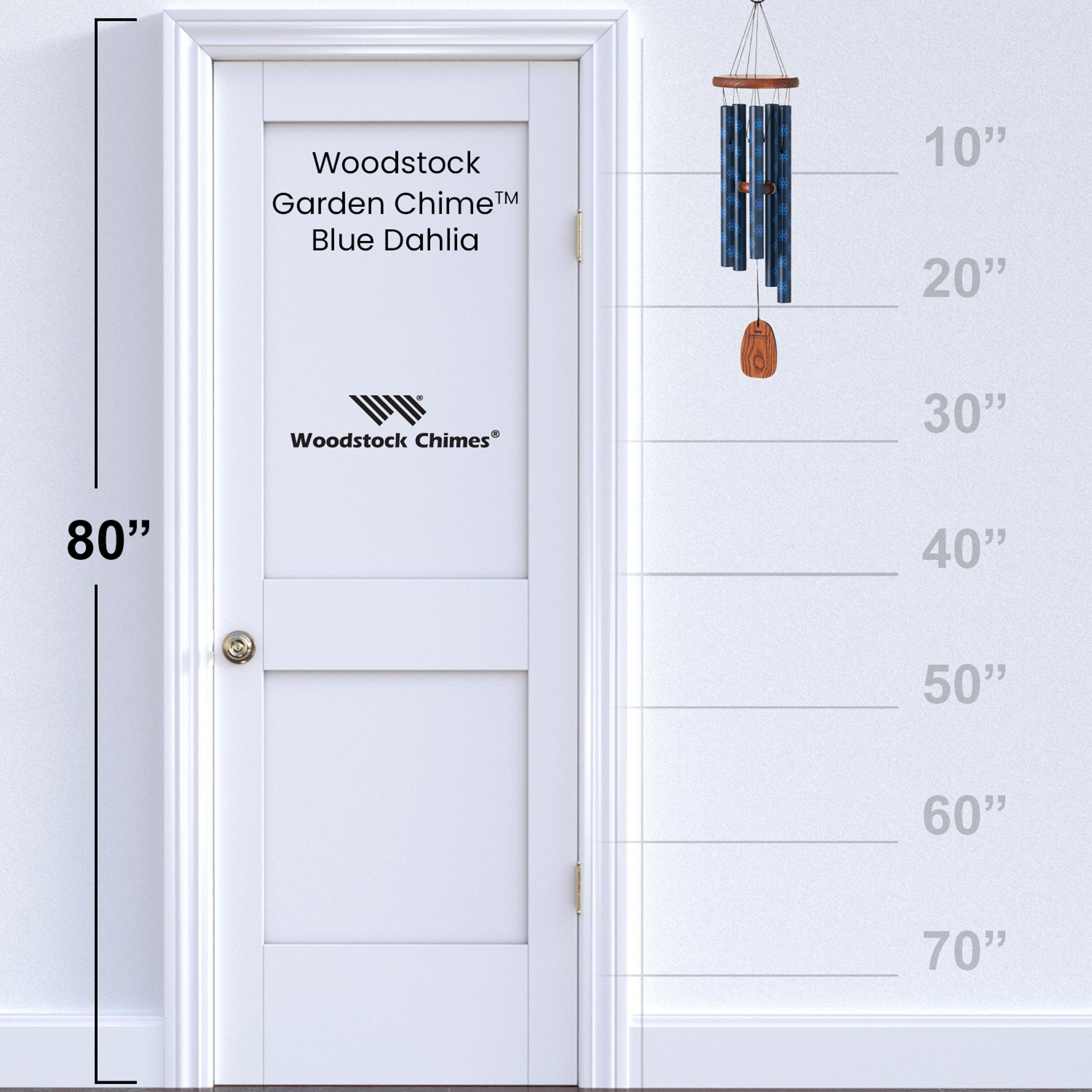 https://asset.productmarketingcloud.com/api/assetstorage/3909_3b4f30a6-ca65-4a54-8a0a-b6a1bd3582d3