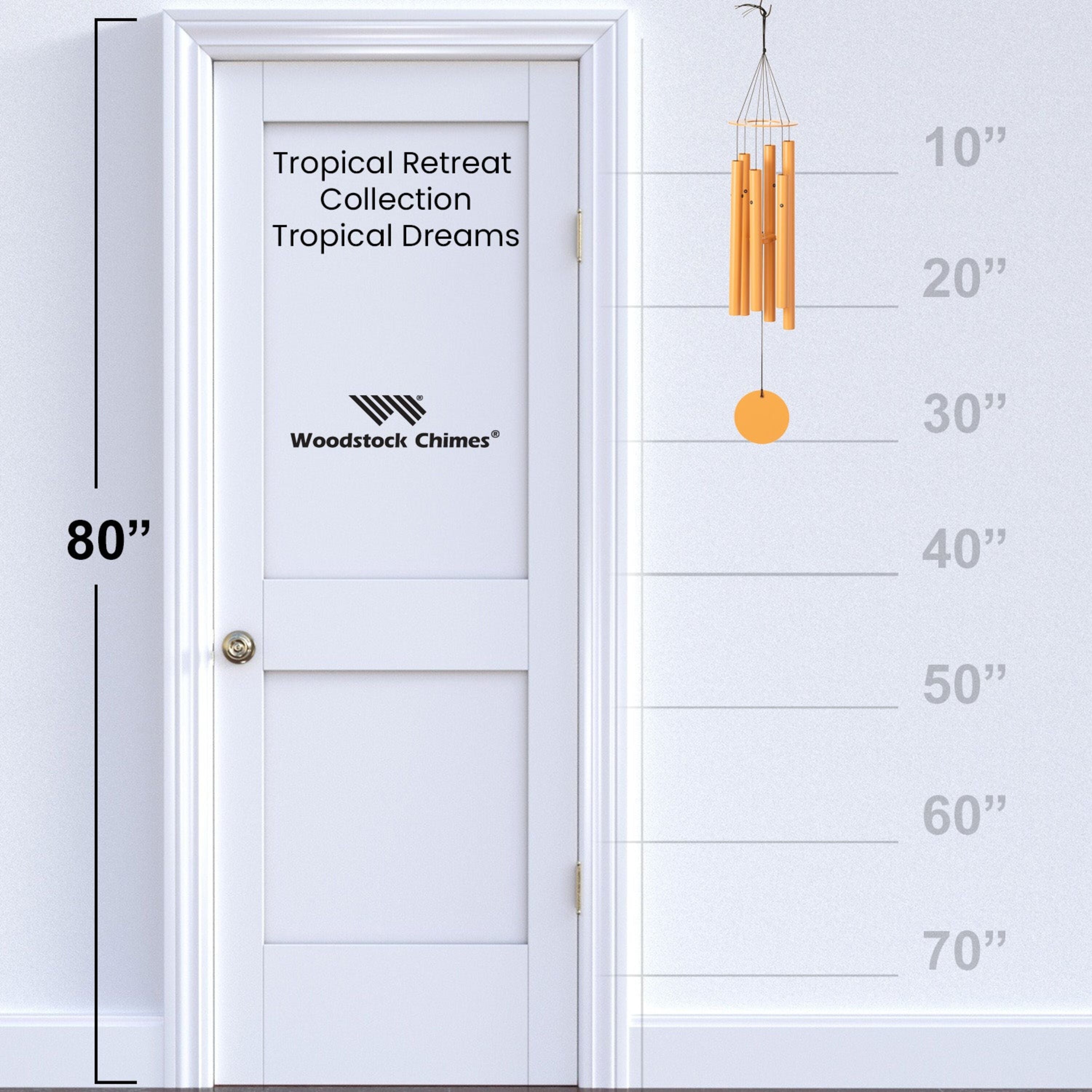 https://asset.productmarketingcloud.com/api/assetstorage/3909_2b6ad169-3892-43bb-939a-d73de28a851d