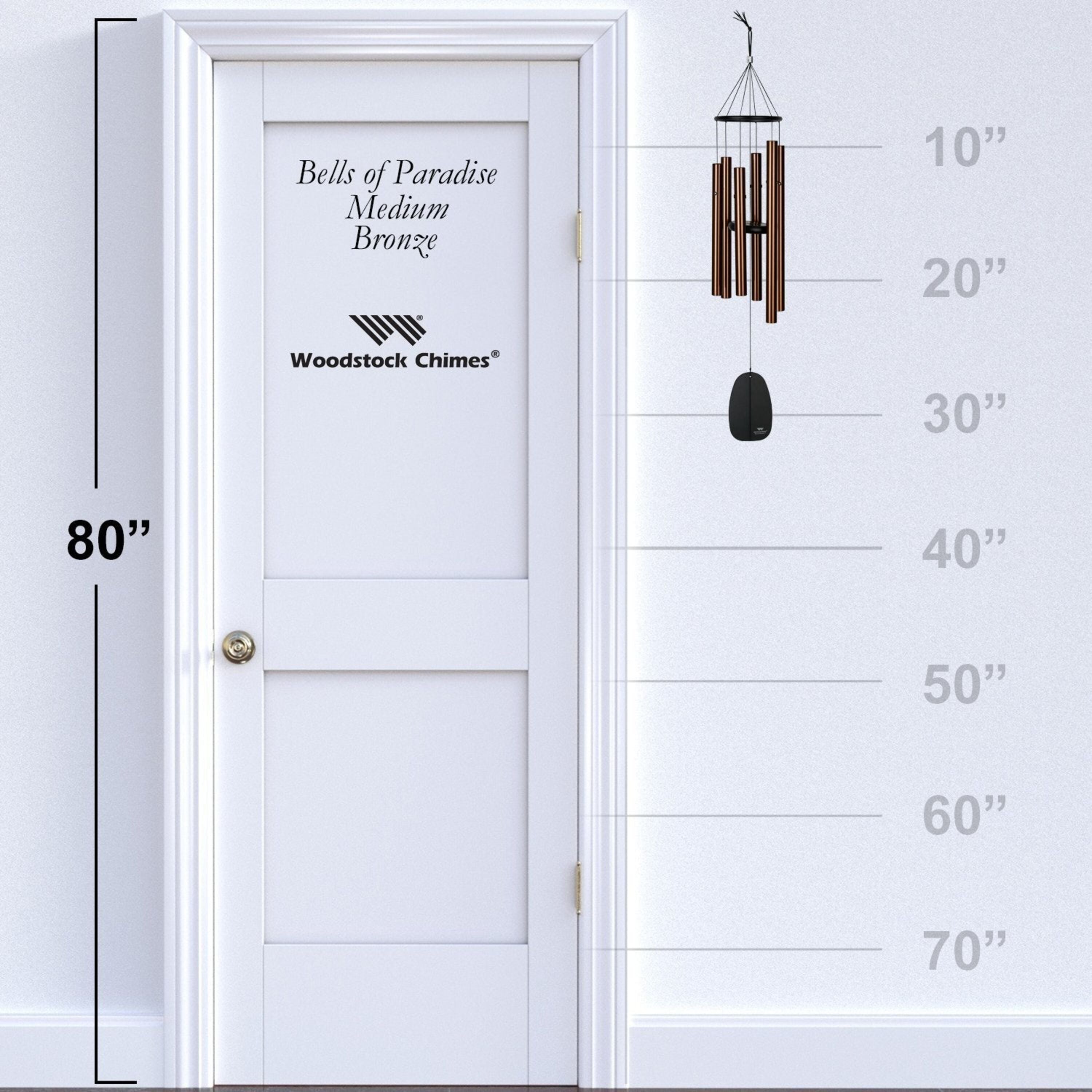 https://asset.productmarketingcloud.com/api/assetstorage/3909_80fe5dea-f37c-4852-8501-7bca5c349c66