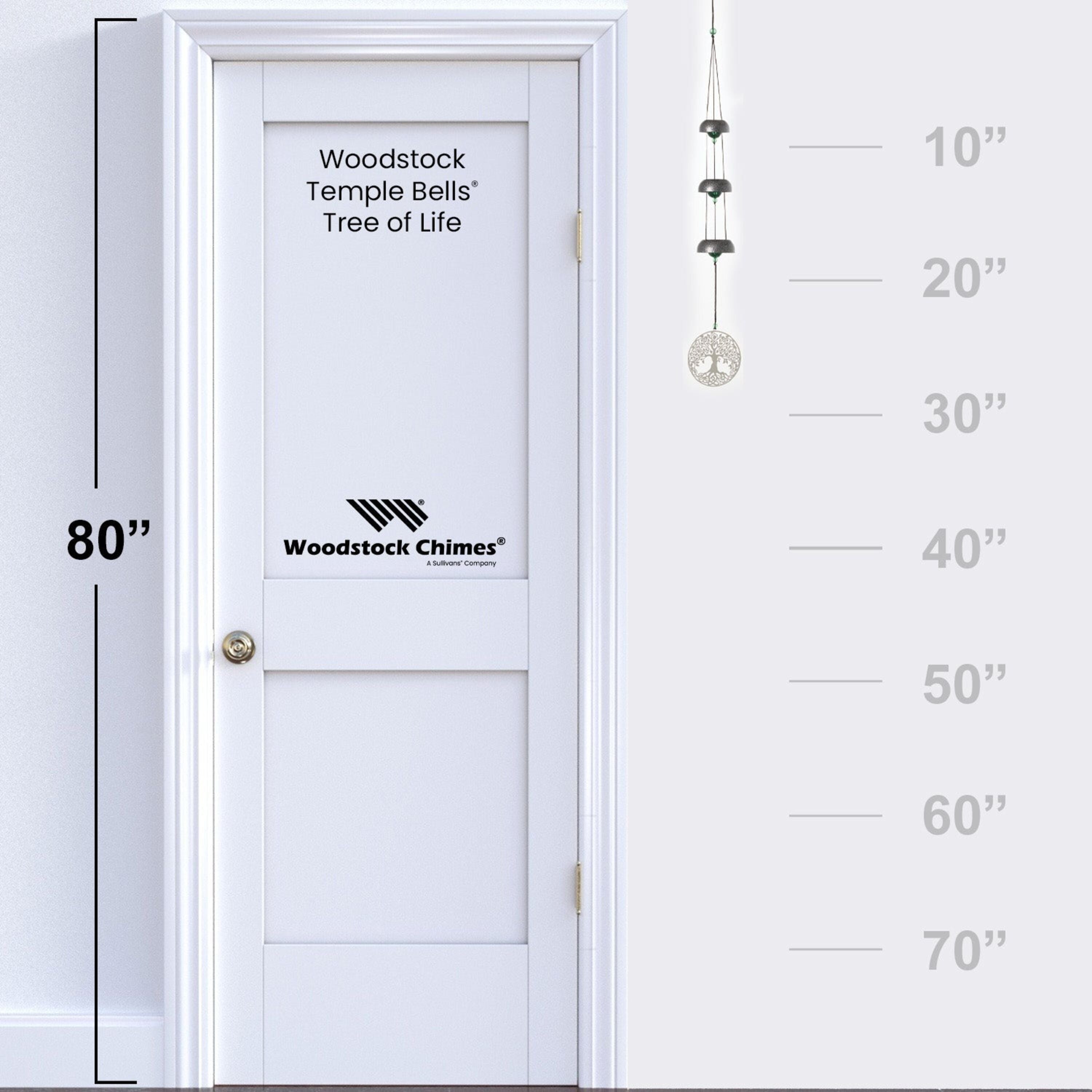 https://asset.productmarketingcloud.com/api/assetstorage/3909_dab5e2a4-f875-4d98-b8a1-9d7b442df9b9