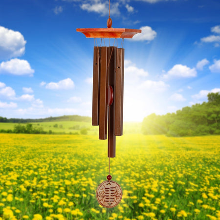 https://asset.productmarketingcloud.com/api/assetstorage/3909_207ec69f-2acb-480f-894d-c54fe5357cce