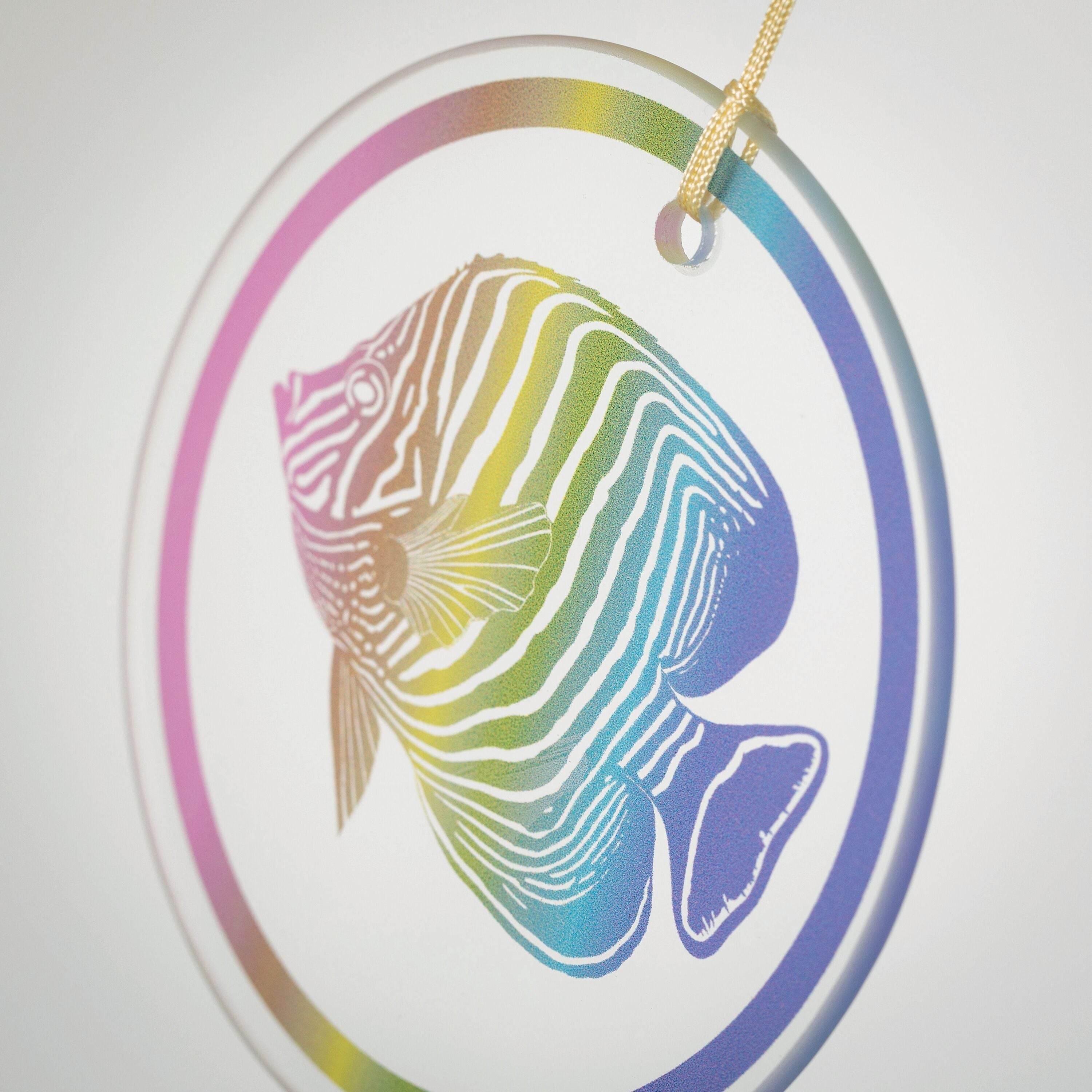 https://asset.productmarketingcloud.com/api/assetstorage/3909_ed37a8f7-94fa-4c52-9665-c8a1c2a995f7