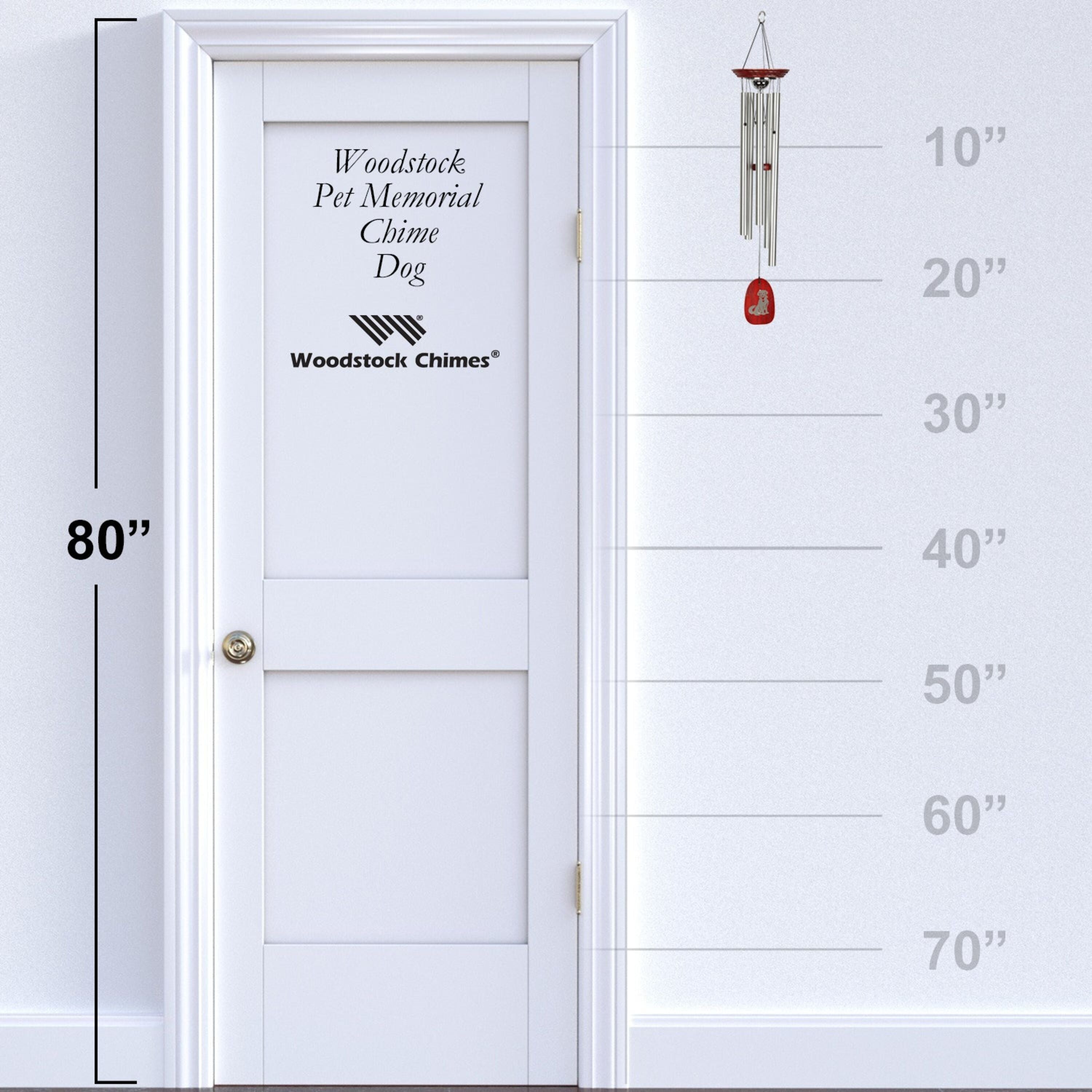 https://asset.productmarketingcloud.com/api/assetstorage/3909_3830310f-5f7a-4db6-96fc-f983fcba4668