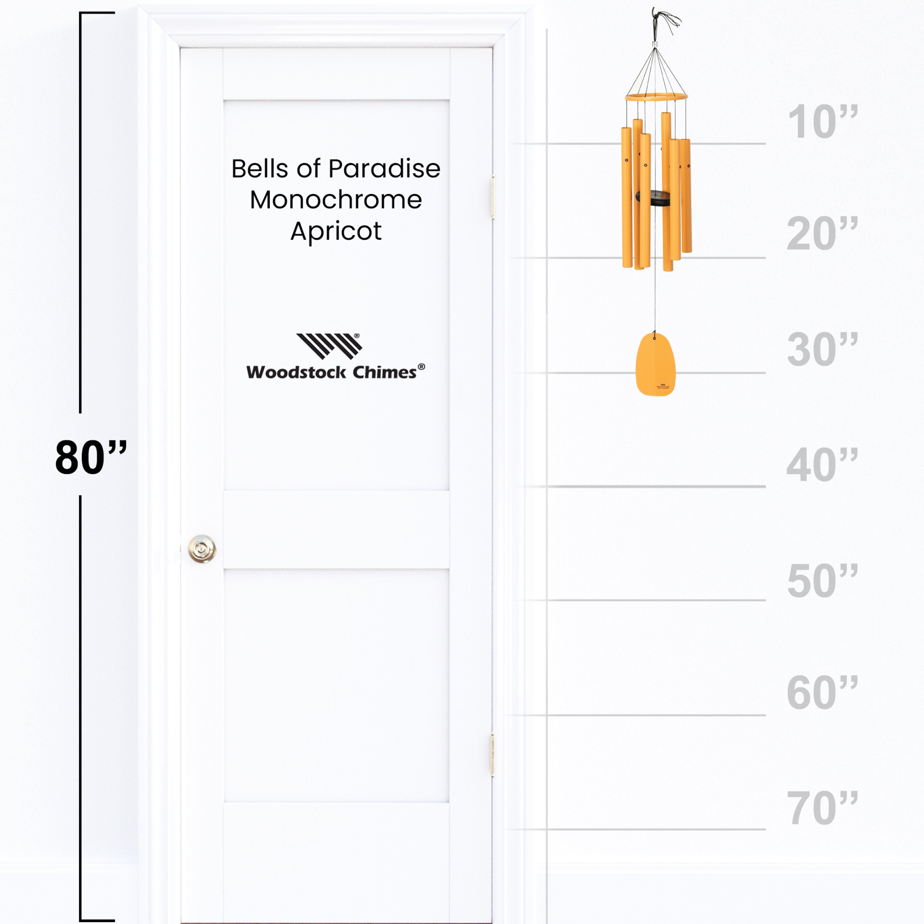 https://asset.productmarketingcloud.com/api/assetstorage/3909_45bbd869-2a16-4010-8936-d996c73f3c1c